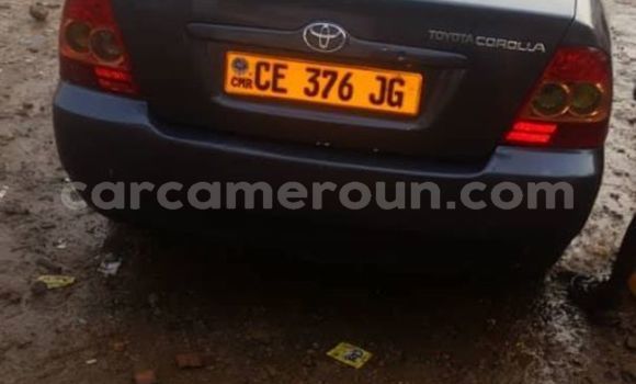 Acheter Occasion Voiture Toyota Corolla Autre à Douala, Littoral Cameroon Acheter Occasion Voiture Toyota Corolla Autre à Douala, Littoral Cameroon