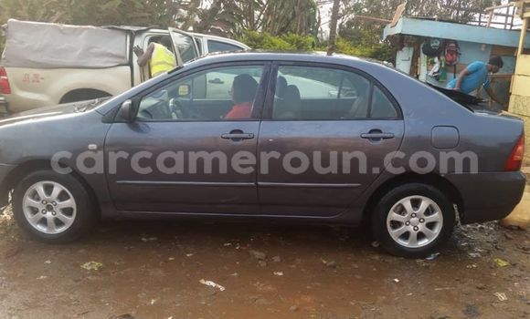 Acheter Occasion Voiture Toyota Corolla Autre à Douala, Littoral Cameroon Acheter Occasion Voiture Toyota Corolla Autre à Douala, Littoral Cameroon