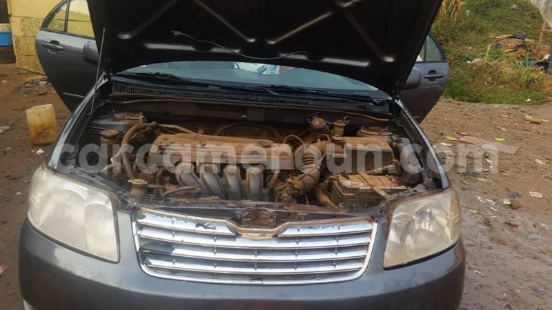Big with watermark toyota corolla littoral cameroon douala 7359
