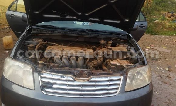 Acheter Occasion Voiture Toyota Corolla Autre à Douala, Littoral Cameroon Acheter Occasion Voiture Toyota Corolla Autre à Douala, Littoral Cameroon