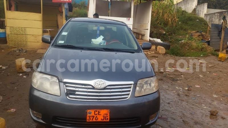 Big with watermark toyota corolla littoral cameroon douala 7359