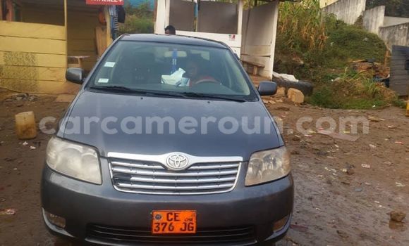 Acheter Occasion Voiture Toyota Corolla Autre à Douala, Littoral Cameroon Acheter Occasion Voiture Toyota Corolla Autre à Douala, Littoral Cameroon