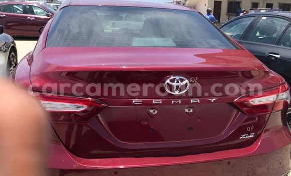 Acheter Occasion Voiture Toyota Camry Rouge à Douala, Littoral Cameroon Acheter Occasion Voiture Toyota Camry Rouge à Douala, Littoral Cameroon