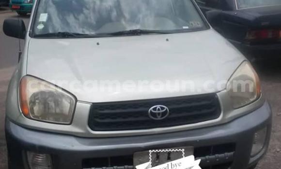 Acheter Occasion Voiture Toyota RAV4 Gris à Douala, Littoral Cameroon Acheter Occasion Voiture Toyota RAV4 Gris à Douala, Littoral Cameroon