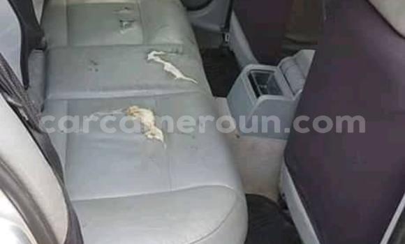 Acheter Occasion Voiture BMW 3–Series Gris à Douala, Littoral Cameroon Acheter Occasion Voiture BMW 3–Series Gris à Douala, Littoral Cameroon