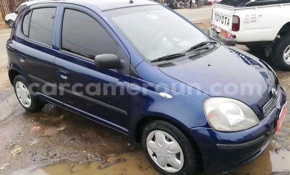 Acheter Occasion Voiture Toyota Yaris Bleu à Douala, Littoral Cameroon Acheter Occasion Voiture Toyota Yaris Bleu à Douala, Littoral Cameroon