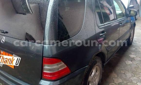Acheter Occasion Voiture Mercedes‒Benz ML–Class Bleu à Douala, Littoral Cameroon Acheter Occasion Voiture Mercedes‒Benz ML–Class Bleu à Douala, Littoral Cameroon