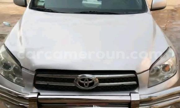 Acheter Occasion Voiture Toyota RAV4 Gris à Douala, Littoral Cameroon Acheter Occasion Voiture Toyota RAV4 Gris à Douala, Littoral Cameroon