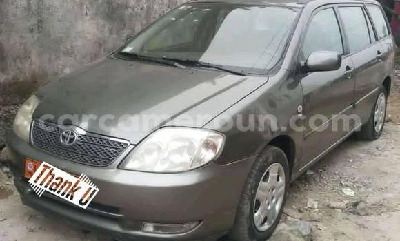 Acheter Occasion Voiture Toyota Corolla Noir à Douala, Littoral Cameroon Acheter Occasion Voiture Toyota Corolla Noir à Douala, Littoral Cameroon