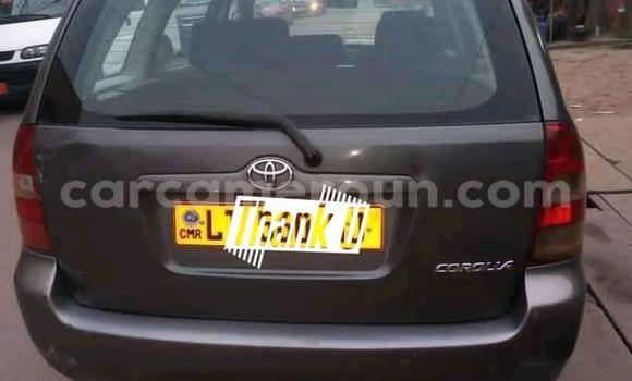 Acheter Occasion Voiture Toyota Corolla Noir à Douala, Littoral Cameroon Acheter Occasion Voiture Toyota Corolla Noir à Douala, Littoral Cameroon
