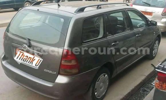 Acheter Occasion Voiture Toyota Corolla Noir à Douala, Littoral Cameroon Acheter Occasion Voiture Toyota Corolla Noir à Douala, Littoral Cameroon