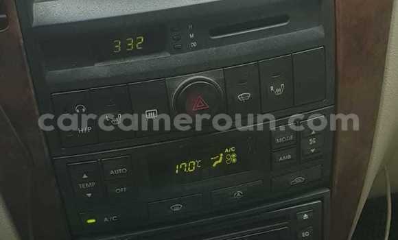 Acheter Occasion Voiture Kia Sorento Gris à Douala, Littoral Cameroon Acheter Occasion Voiture Kia Sorento Gris à Douala, Littoral Cameroon