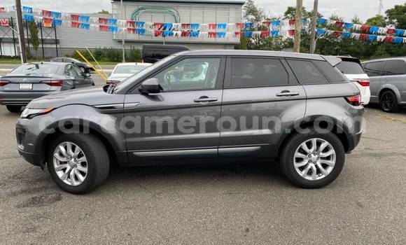 Acheter Occasion Voiture Land Rover Range Rover Evoque Beige à Douala, Littoral Cameroon Acheter Occasion Voiture Land Rover Range Rover Evoque Beige à Douala, Littoral Cameroon