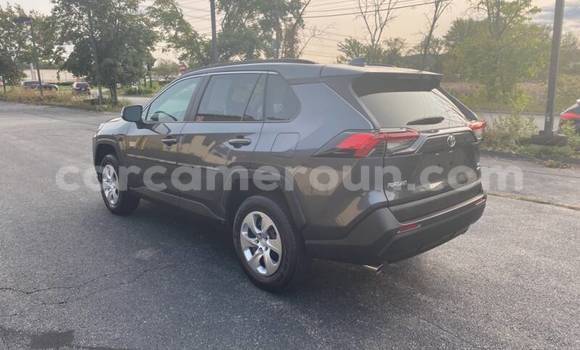 Acheter Occasion Voiture Toyota RAV4 Beige à Douala, Littoral Cameroon Acheter Occasion Voiture Toyota RAV4 Beige à Douala, Littoral Cameroon