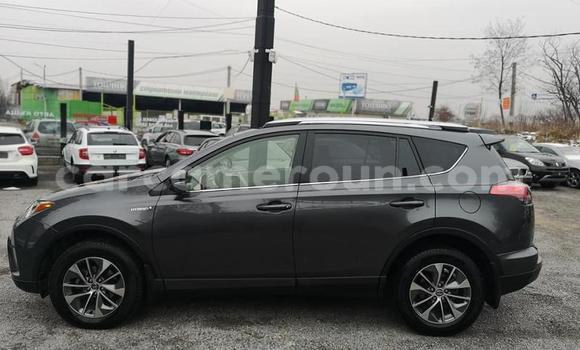 Acheter Occasion Voiture Toyota RAV4 Autre à Import - Dubai, Adamawa Acheter Occasion Voiture Toyota RAV4 Autre à Import - Dubai, Adamawa