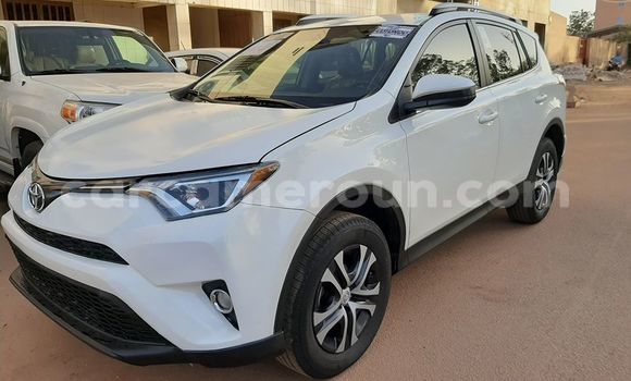 Buy Used Toyota RAV4 White Car in Douala in Littoral Cameroon Buy Used Toyota RAV4 White Car in Douala in Littoral Cameroon