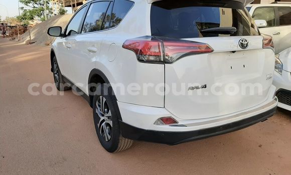 Buy Used Toyota RAV4 White Car in Douala in Littoral Cameroon Buy Used Toyota RAV4 White Car in Douala in Littoral Cameroon