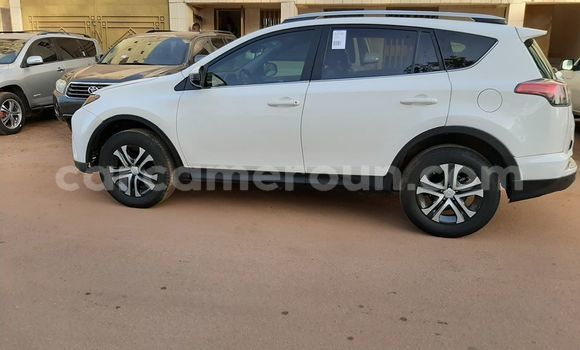 Buy Used Toyota RAV4 White Car in Douala in Littoral Cameroon Buy Used Toyota RAV4 White Car in Douala in Littoral Cameroon