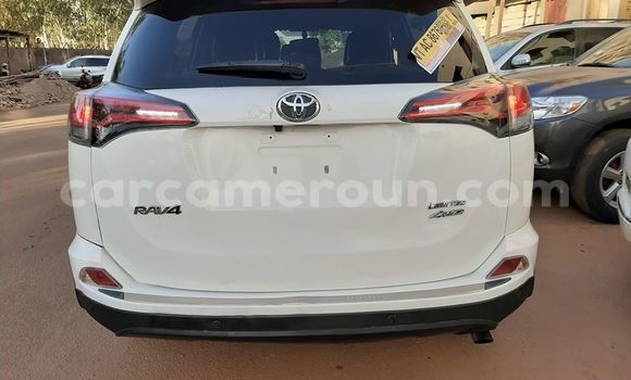Buy Used Toyota RAV4 White Car in Douala in Littoral Cameroon Buy Used Toyota RAV4 White Car in Douala in Littoral Cameroon