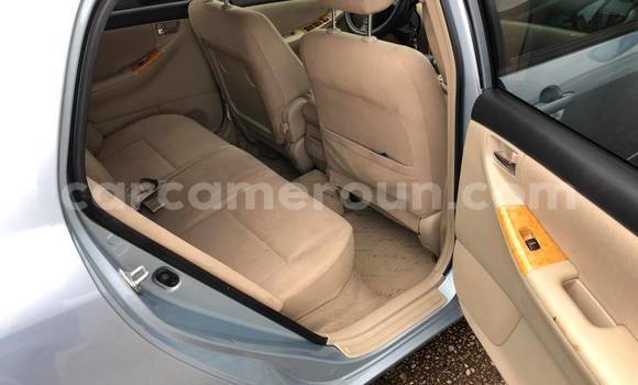 Sayi Na hannu Toyota Runx Sauran Mota in Douala a Ƙasar Kamaru Sayi Na hannu Toyota Runx Sauran Mota in Douala a Ƙasar Kamaru