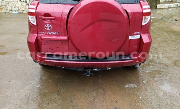Acheter Import Voiture Toyota RAV4 Rouge à Douala, Littoral Cameroon Acheter Import Voiture Toyota RAV4 Rouge à Douala, Littoral Cameroon