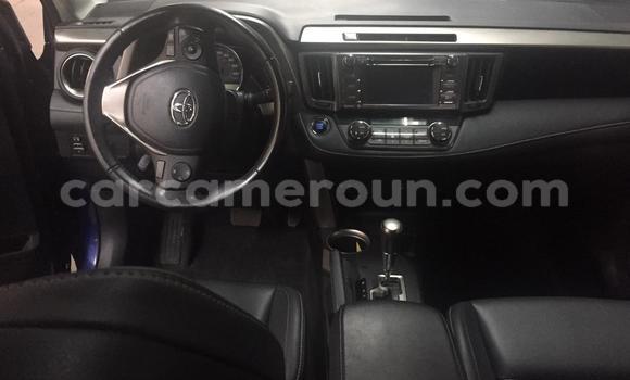 Sayi Imported Toyota RAV4 Blue Mota in Douala a Ƙasar Kamaru Sayi Imported Toyota RAV4 Blue Mota in Douala a Ƙasar Kamaru