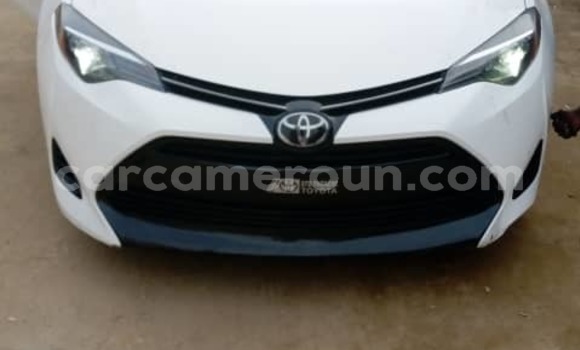 Sayi Imported Toyota Corolla White Mota in Douala a Ƙasar Kamaru Sayi Imported Toyota Corolla White Mota in Douala a Ƙasar Kamaru