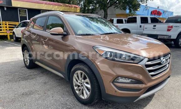 Sayi Na hannu Hyundai Tucson Brown Mota in Yaounde a Babban Kamaru Sayi Na hannu Hyundai Tucson Brown Mota in Yaounde a Babban Kamaru