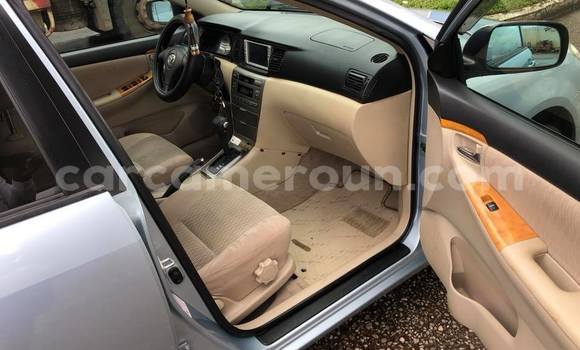 Acheter Occasion Voiture Toyota Runx Autre à Douala, Littoral Cameroon Acheter Occasion Voiture Toyota Runx Autre à Douala, Littoral Cameroon