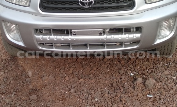 Sayi Imported Toyota RAV4 Azurfa Mota in Douala a Ƙasar Kamaru Sayi Imported Toyota RAV4 Azurfa Mota in Douala a Ƙasar Kamaru