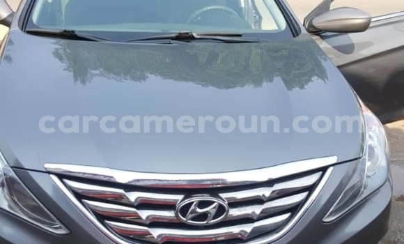 Sayi Imported Hyundai Sonata Azurfa Mota in Douala a Ƙasar Kamaru Sayi Imported Hyundai Sonata Azurfa Mota in Douala a Ƙasar Kamaru