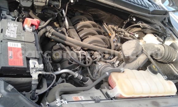 Sayi Imported Ford F–150 White Mota in Douala a Ƙasar Kamaru Sayi Imported Ford F–150 White Mota in Douala a Ƙasar Kamaru