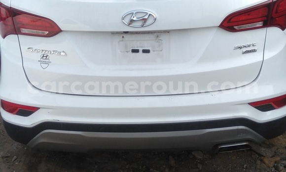 Sayi Imported Hyundai Santa Fe White Mota in Douala a Ƙasar Kamaru Sayi Imported Hyundai Santa Fe White Mota in Douala a Ƙasar Kamaru