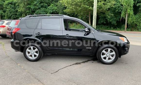 Buy Used Toyota RAV4 Black Car in Yaounde in Central Cameroon Buy Used Toyota RAV4 Black Car in Yaounde in Central Cameroon