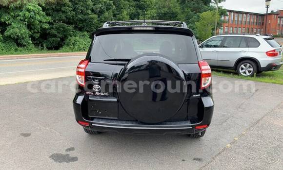 Buy Used Toyota RAV4 Black Car in Yaounde in Central Cameroon Buy Used Toyota RAV4 Black Car in Yaounde in Central Cameroon