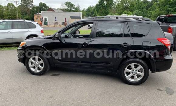 Buy Used Toyota RAV4 Black Car in Yaounde in Central Cameroon Buy Used Toyota RAV4 Black Car in Yaounde in Central Cameroon
