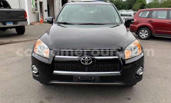 Buy Used Toyota RAV4 Black Car in Yaounde in Central Cameroon Buy Used Toyota RAV4 Black Car in Yaounde in Central Cameroon