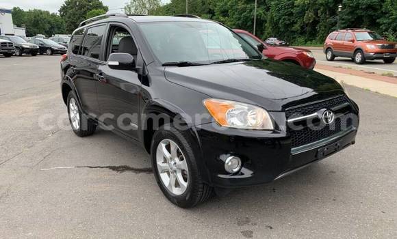 Buy Used Toyota RAV4 Black Car in Yaounde in Central Cameroon Buy Used Toyota RAV4 Black Car in Yaounde in Central Cameroon