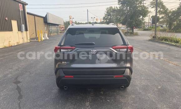 Acheter Occasion Voiture Toyota RAV4 Beige à Douala, Littoral Cameroon Acheter Occasion Voiture Toyota RAV4 Beige à Douala, Littoral Cameroon