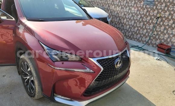 Sayi Imported Lexus NX Red Mota in Douala a Ƙasar Kamaru Sayi Imported Lexus NX Red Mota in Douala a Ƙasar Kamaru