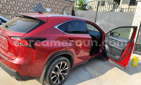 Sayi Imported Lexus NX Red Mota in Douala a Ƙasar Kamaru Sayi Imported Lexus NX Red Mota in Douala a Ƙasar Kamaru