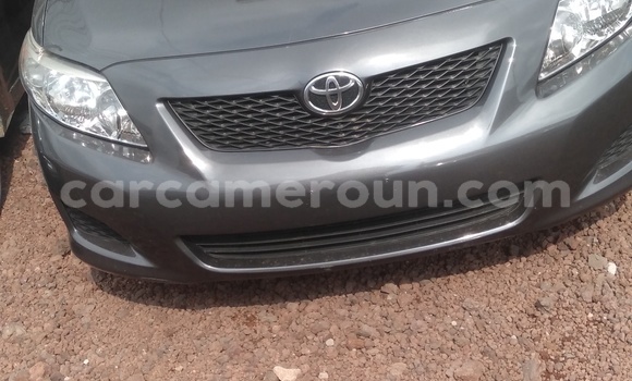 Sayi Imported Toyota Corolla Azurfa Mota in Douala a Ƙasar Kamaru Sayi Imported Toyota Corolla Azurfa Mota in Douala a Ƙasar Kamaru