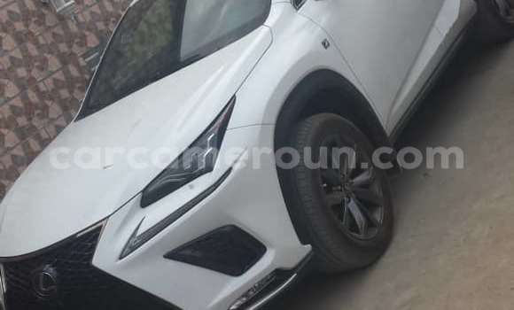 Sayi Imported Lexus NX White Mota in Douala a Ƙasar Kamaru Sayi Imported Lexus NX White Mota in Douala a Ƙasar Kamaru