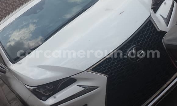 Sayi Imported Lexus NX White Mota in Douala a Ƙasar Kamaru Sayi Imported Lexus NX White Mota in Douala a Ƙasar Kamaru