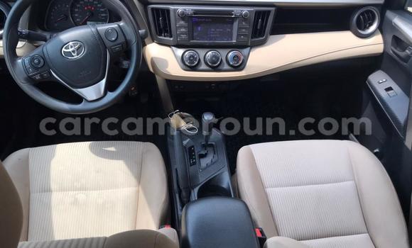 Sayi Imported Toyota RAV4 Brown Mota in Douala a Ƙasar Kamaru Sayi Imported Toyota RAV4 Brown Mota in Douala a Ƙasar Kamaru