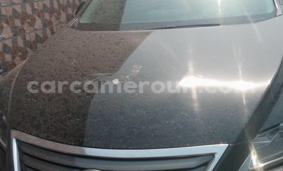 Sayi Imported Lexus RX 350 Black Mota in Douala a Ƙasar Kamaru Sayi Imported Lexus RX 350 Black Mota in Douala a Ƙasar Kamaru