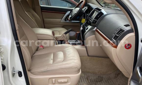 Sayi Imported Toyota Land Cruiser White Mota in Douala a Ƙasar Kamaru Sayi Imported Toyota Land Cruiser White Mota in Douala a Ƙasar Kamaru