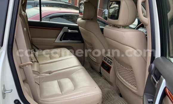 Sayi Imported Toyota Land Cruiser White Mota in Douala a Ƙasar Kamaru Sayi Imported Toyota Land Cruiser White Mota in Douala a Ƙasar Kamaru