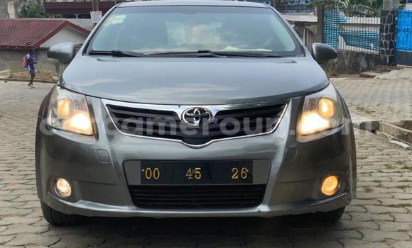 Acheter Neuf Voiture Toyota Avensis Autre à Douala, Littoral Cameroon Acheter Neuf Voiture Toyota Avensis Autre à Douala, Littoral Cameroon