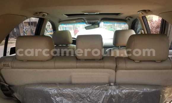 Sayi Sabo Kia Sorento Sauran Mota in Yaounde a Babban Kamaru Sayi Sabo Kia Sorento Sauran Mota in Yaounde a Babban Kamaru